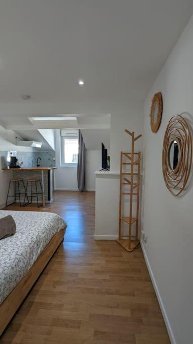 2E Grand Studio Agen Hyper Centre - Clim - Jacobins Εξωτερικό φωτογραφία